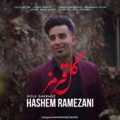 دانلود آهنگ هاشم رمضانی گل قرمز
